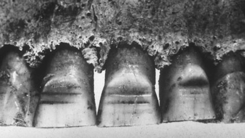 Illustration for article titled Fierce, fashionable Vikings filed their teeth and ironed their clothes